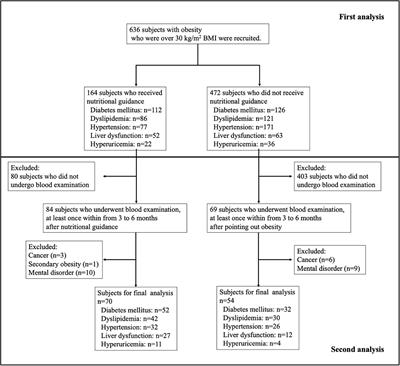 Impact of nutritional guidance on various clinical parameters in patients with moderate obesity: A retrospective study